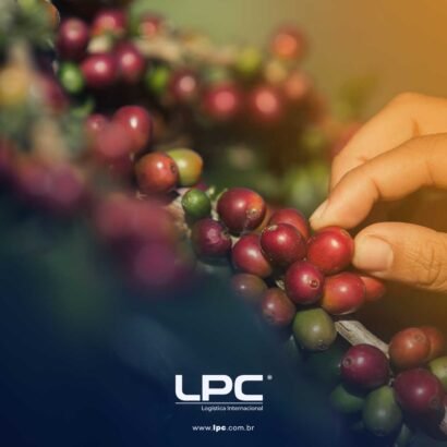 Recordes na xícara!Brasil bate marco histórico nas exportações de café!