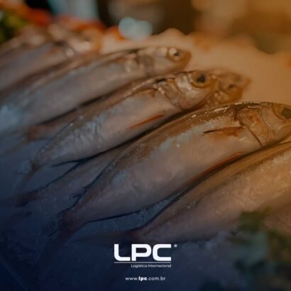 Exportações de pescado do Pará em alta!