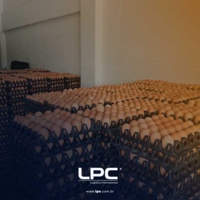 Ovos brasileiros conquistam o mundo